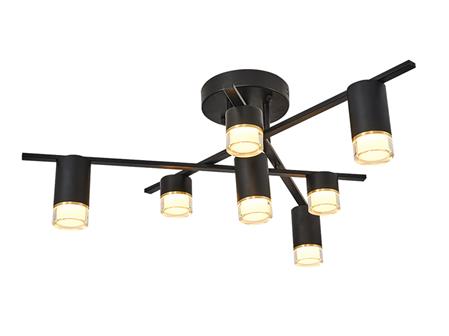 5036-7 Luminaire Matte Black