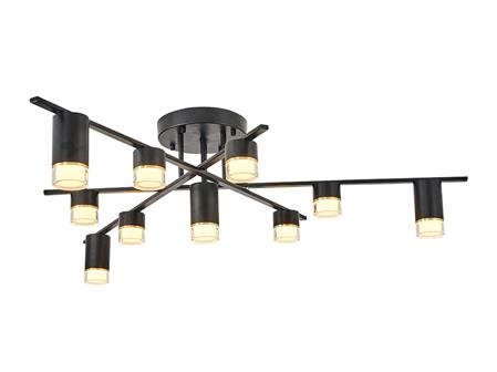 5036-10 Luminaire Matte Black